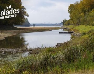 Visite guidée de l'île Bernardeau - Journées Européennes du Patrimoine