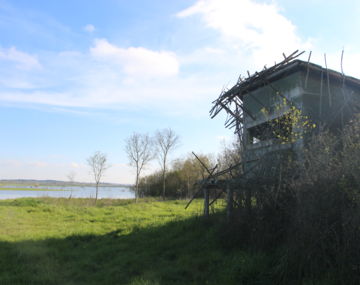 Observatoire ornithologique du Marais de Grée