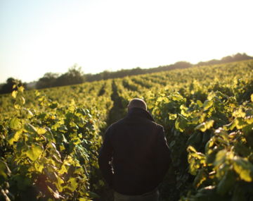 Domaine Staderoli