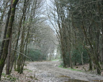 Circuit VTT N° 6 La vallée de l'Erdre - Riaillé