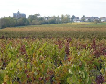 Domaine du Roty