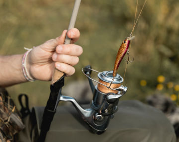 Concours de pêche aux carnassiers