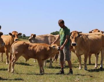 La Ferme des Vertes Prairies