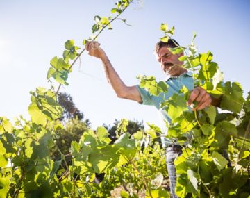 Domaine Landron Chartier