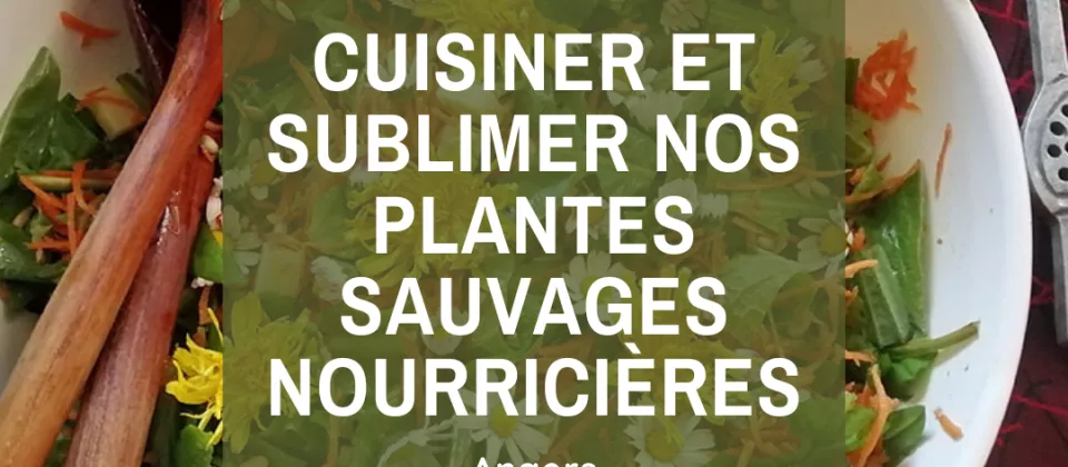 Plantes sauvages nourricieres_1 - ©EFDPL