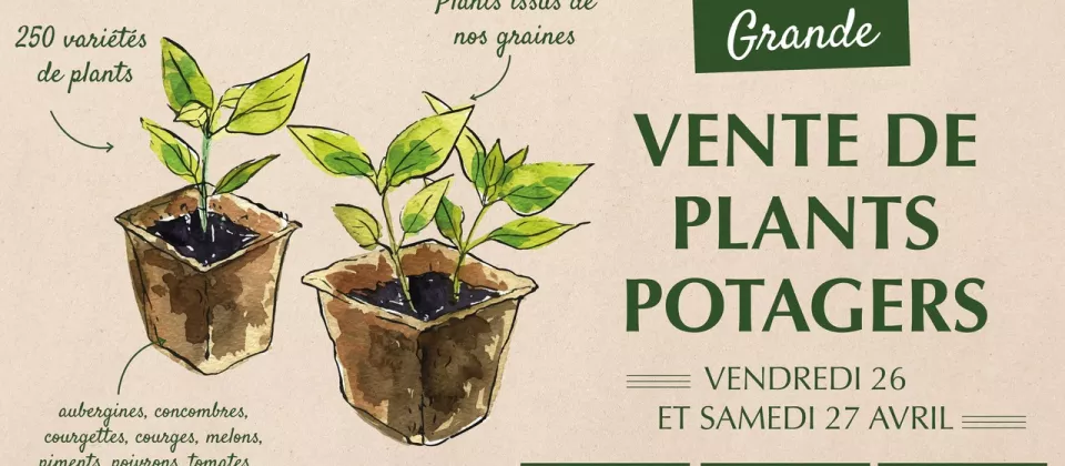 Vente de plants_1 - ©ferme de Sainte Marthe