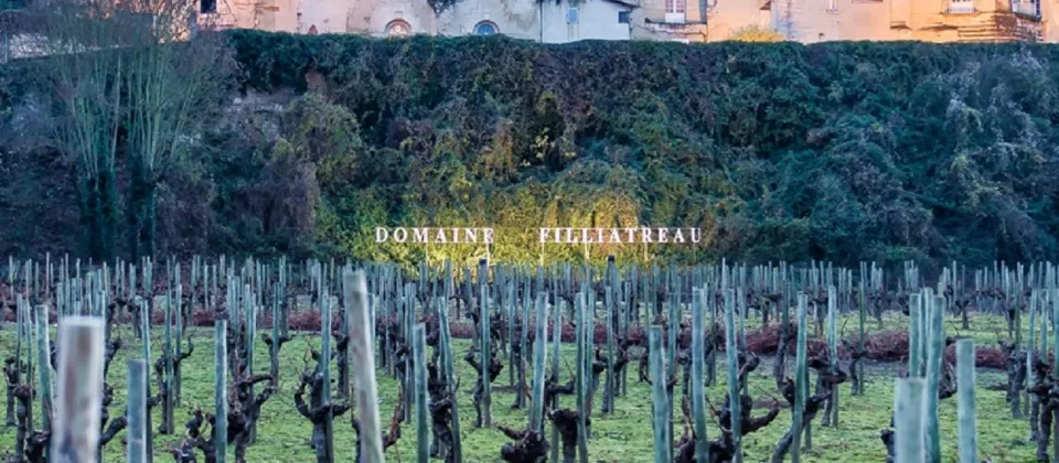 Domaine Grande Vignolle - ©Filliatreau Christina