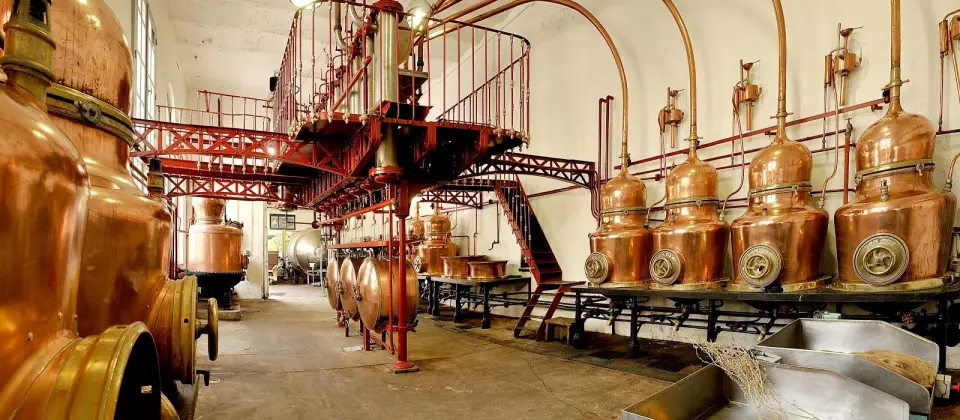 Combier distillerie à Saumur - Avis, prix et adresse | Anjou Tourisme