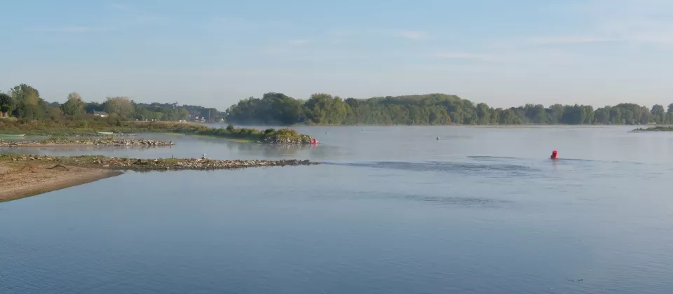La Pointe de Bouchemaine - ©Fédération de Maine-et-Loire pour la Pêche et la Protection du Milieu Aquatique