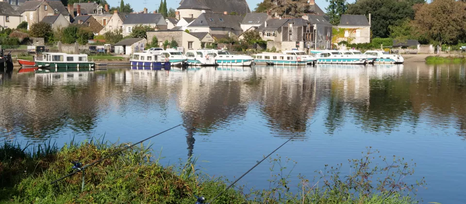 La Mayenne à Grez-Neuville - ©Fédération de Maine-et-Loire pour la Pêche et la Protection du Milieu Aquatique