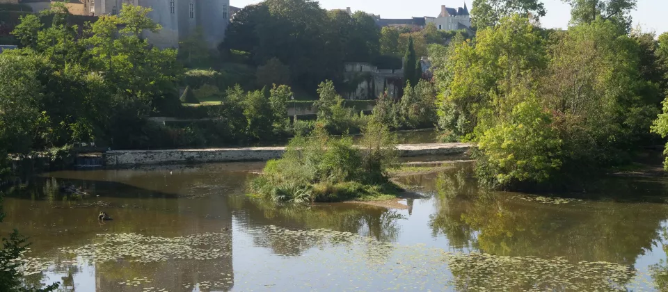 Parcours Passion - Montreuil-Bellay - ©Fédération de Maine-et-Loire pour la Pêche et la Protection du Milieu Aquatique