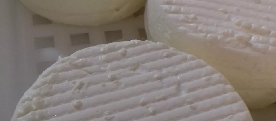 ferme-les-trois-chenes-fromage-producteur-local-le-longeron-sevremoine - ©Ferme Les 3 Chênes