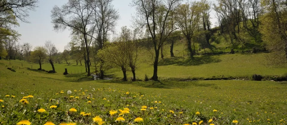 paysage-printemps-roussay-randonnee-anjou-nantes-cholet-osezmauges - ©OLIVIER RAHARD
