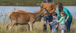 les-cerfs-fardelliere-angers-nantes-anjou-osezmauges