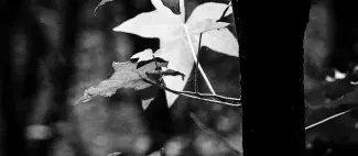 001-AtelierPhotographie-260427-EstelleOffroyPhoto-2