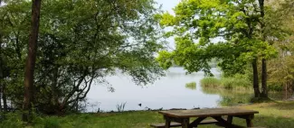 Balade Nature à l'Etang des Noues_1