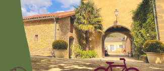 Vigne en roue libre - 1