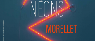 Expo 100% néons Morellet_1