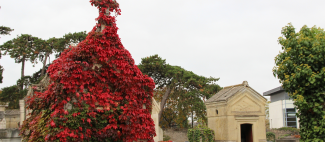 Cimetière de l'est - Angers_1