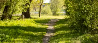 La Villevêquoise_Rives-du-Loir-en-Anjou_1