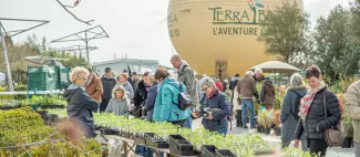 Printemps de Terra_1