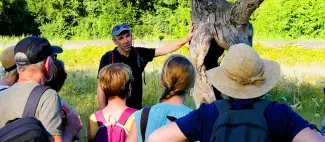 Formation : Apprendre à reconnaître les arbres_Écouflant_1