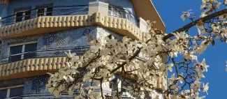 Bulles de Culture Matinales Maxi_Angers_1