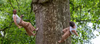 Deux dans l'arbre_1