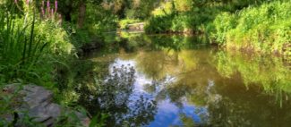 Rendez-vous au jardin du Parc Balzac_Angers_1