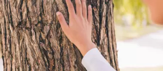 Visite sensorielle à l'arboretum d'Angers_Angers_1