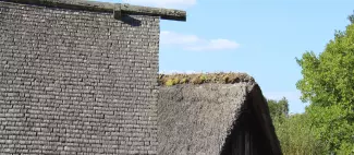 Journée Européenne de l'archéologie au Château à Motte_1