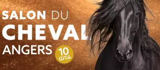 Salon du cheval_Angers_1