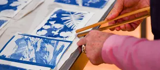 Atelier cyanotype au muséum des sciences naturelles_Angers_1