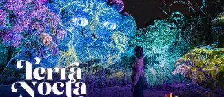 Terra Nocta_Angers_1