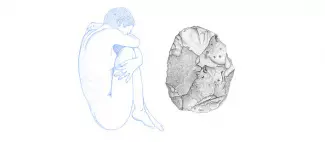 Exposition : Elodie Verdier : Origine_Angers_1