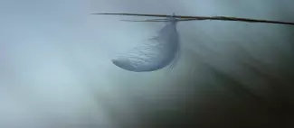 Visuel_1