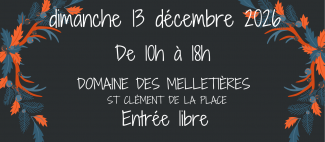Marché de Noël du Domaine des Melletières_Saint-Clément-de-la-Place_1