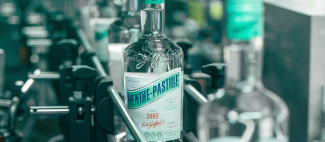 Menthe-Pastille sur ligne_1