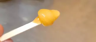 Visite les Abeilles de l'Oumois _1
