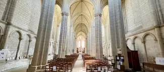 Collégiale du Puy-Notre-Dame - _1