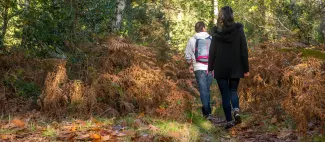 Randonnée entre Blou et Neuillé - Balade en forêt Saumur Val de Loire_1