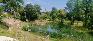 2025_06_13 Paysage du jardin (17)