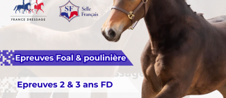 Affiche - Concours 2026 - France Dressage x SF