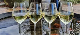 Visite du Domaine de la Petite Roche_1