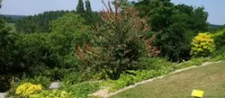 https://reservation.destination-angers.com/medias/images/prestataires/2858172-jardin_botanique_briollay_273040.jpg_1