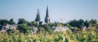 https://reservation.destination-angers.com/medias/images/prestataires/2864305-village_de_savennieres_2704214.jpg_1
