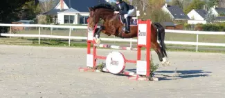 Centre équestre Angers Corné_1