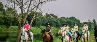 Les écuries d'air pur_1