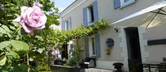 L'Angevine Maison d'Hôtes - Jardin_1