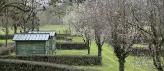 Camping au naturel_1